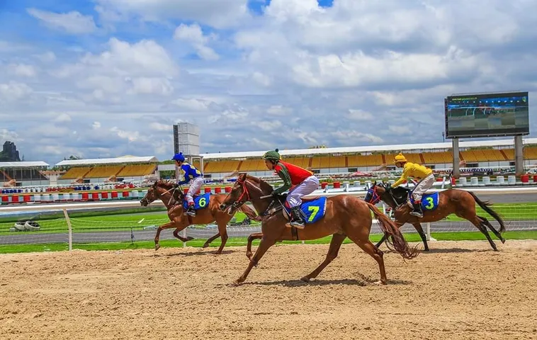 Tìm Hiểu Cá Cược Đua Ngựa TWIN68 Bí Quyết Thắng Mọi Đường Đua 2 Tìm Hiểu Cá Cược Đua Ngựa TWIN68 Bí Quyết Thắng Mọi Đường Đua