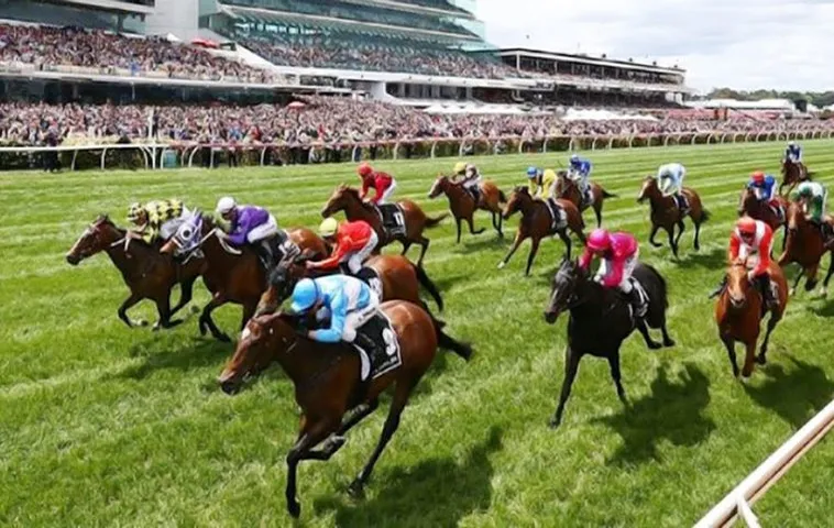 Tìm Hiểu Cá Cược Đua Ngựa TWIN68 Bí Quyết Thắng Mọi Đường Đua 1 Tìm Hiểu Cá Cược Đua Ngựa TWIN68 Bí Quyết Thắng Mọi Đường Đua