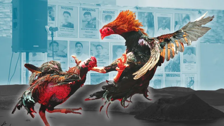 Bí Kíp Chơi Đá Gà Sabong TWIN68 Thắng Lớn Từ Cao Thủ