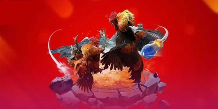 Khám Phá Đấu Trường Đá Gà TWIN68 Đỉnh Cao Cùng Kèo Cược Hot 1 Khám Phá Đấu Trường Đá Gà TWIN68 Đỉnh Cao Cùng Kèo Cược Hot